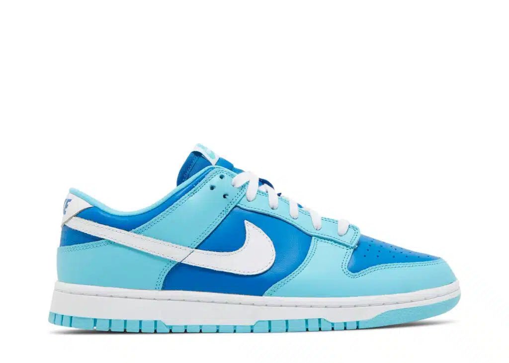 Nike Dunk Low Retro QS Argon - selectsneakerss